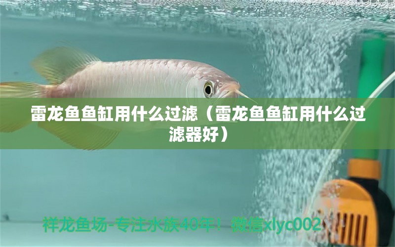 雷龍魚魚缸用什么過濾（雷龍魚魚缸用什么過濾器好）