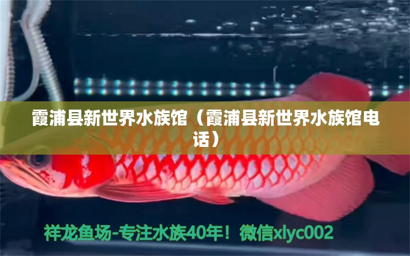 霞浦縣新世界水族館（霞浦縣新世界水族館電話）