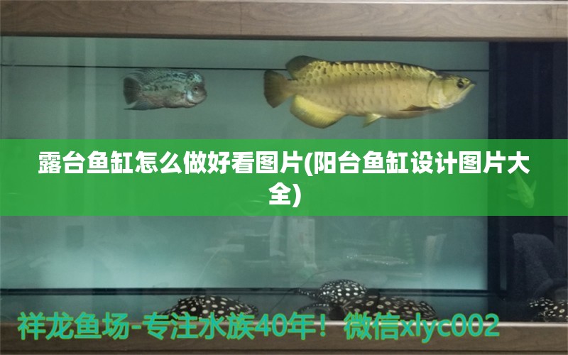 露臺魚缸怎么做好看圖片(陽臺魚缸設(shè)計圖片大全) 二氧化碳設(shè)備