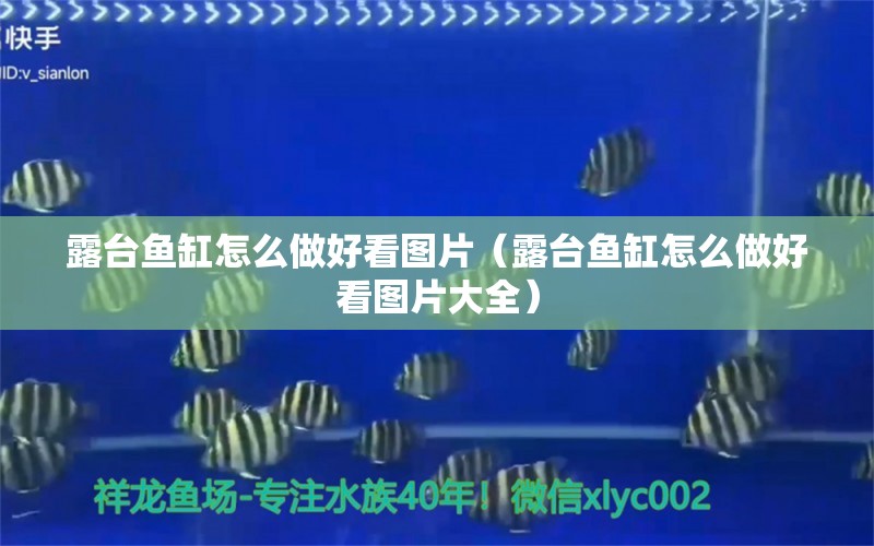 露臺魚缸怎么做好看圖片（露臺魚缸怎么做好看圖片大全）