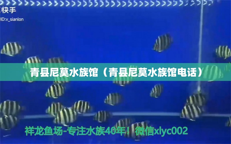 青縣尼莫水族館（青縣尼莫水族館電話）