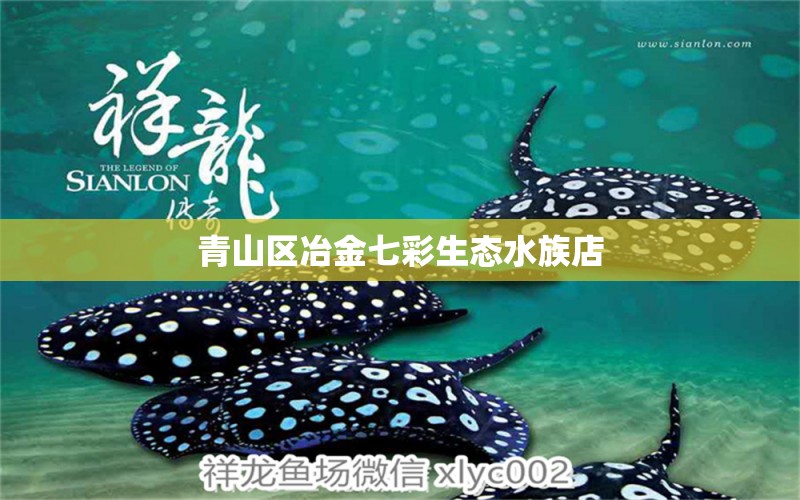 青山區(qū)冶金七彩生態(tài)水族店