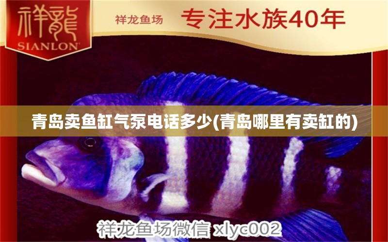 青島賣魚缸氣泵電話多少(青島哪里有賣缸的) 魚缸凈水劑