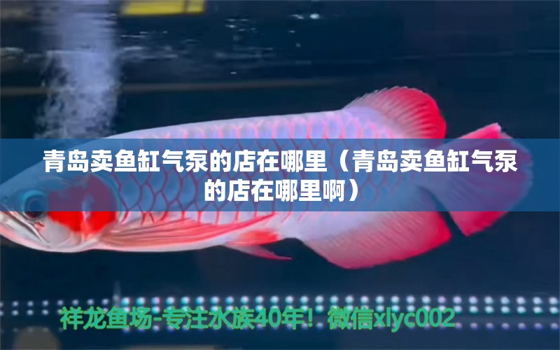 青島賣魚缸氣泵的店在哪里（青島賣魚缸氣泵的店在哪里?。? title=