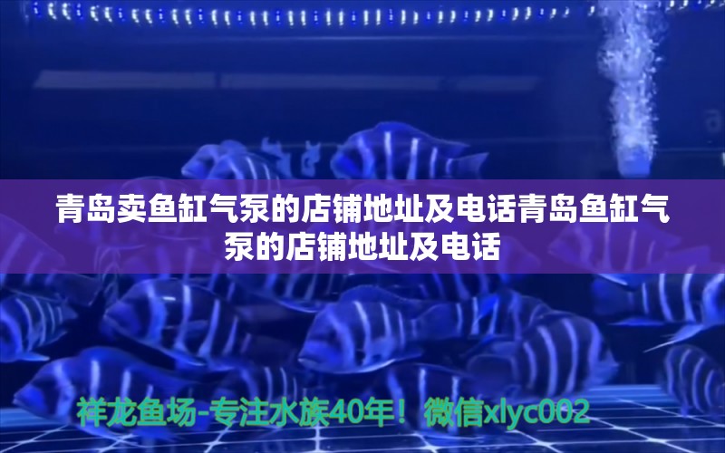 青島賣魚缸氣泵的店鋪地址及電話青島魚缸氣泵的店鋪地址及電話