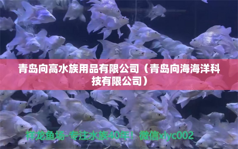 青島向高水族用品有限公司（青島向海海洋科技有限公司）