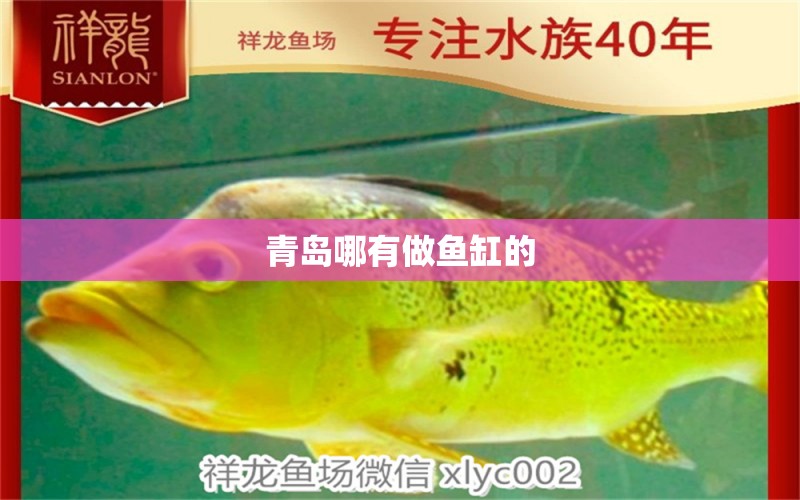 青島哪有做魚(yú)缸的 其他品牌魚(yú)缸