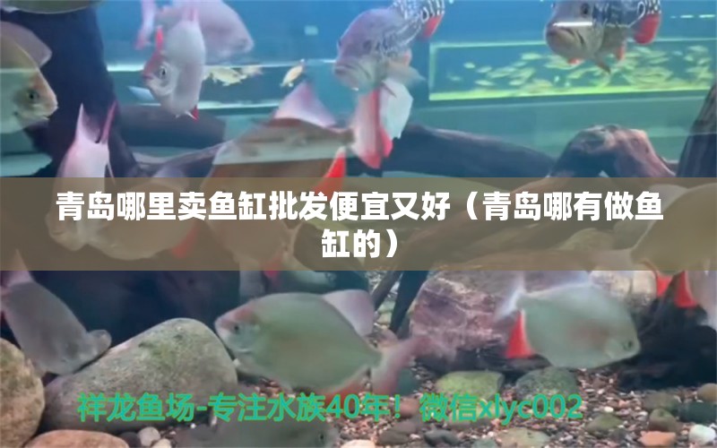 青島哪里賣魚缸批發(fā)便宜又好（青島哪有做魚缸的）