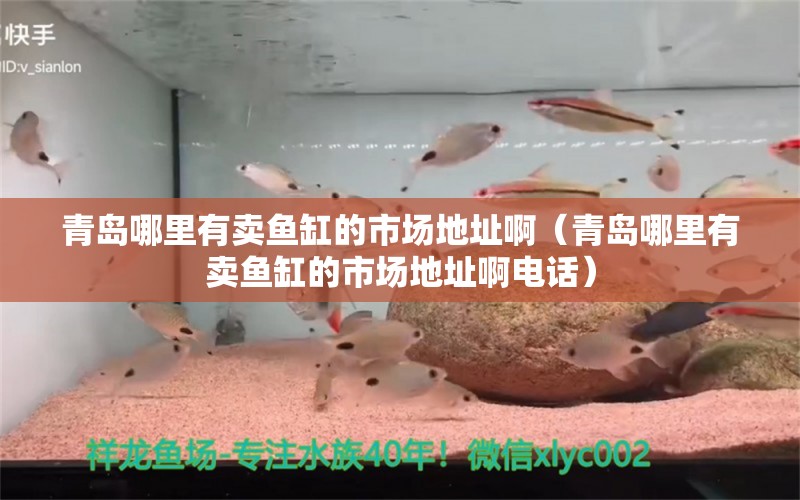 青島哪里有賣魚缸的市場地址?。ㄇ鄭u哪里有賣魚缸的市場地址啊電話）