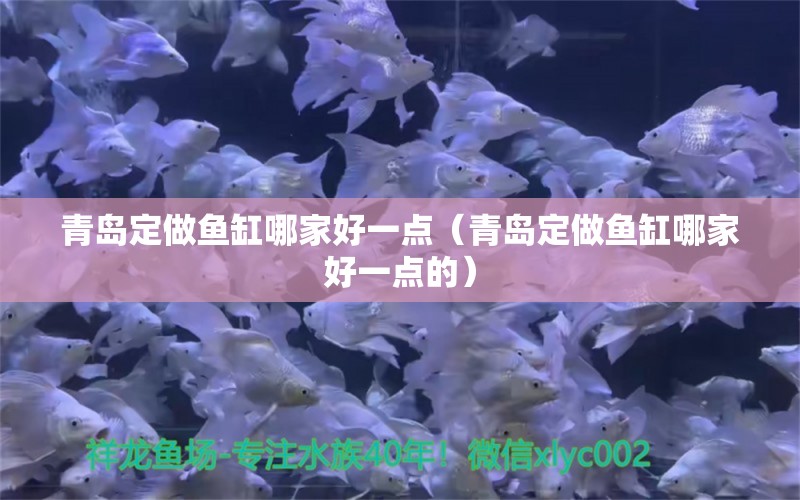 青島定做魚缸哪家好一點（青島定做魚缸哪家好一點的）