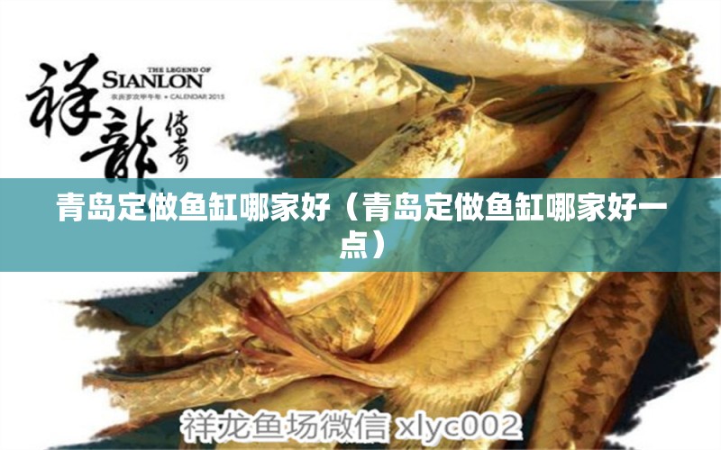 青島定做魚缸哪家好（青島定做魚缸哪家好一點(diǎn)） 其他品牌魚缸