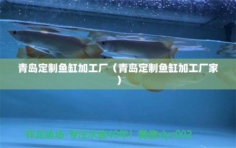 青島定制魚(yú)缸加工廠（青島定制魚(yú)缸加工廠家）