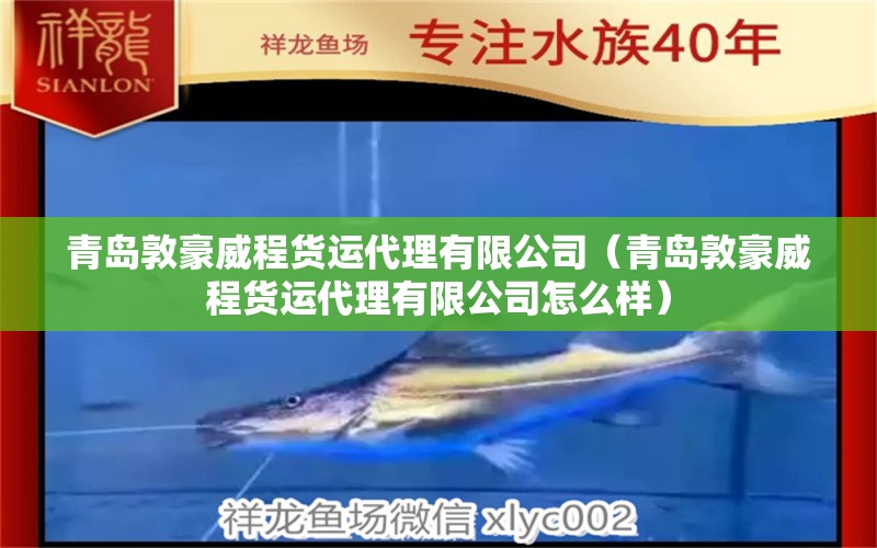 青島敦豪威程貨運代理有限公司（青島敦豪威程貨運代理有限公司怎么樣） 全國水族館企業(yè)名錄