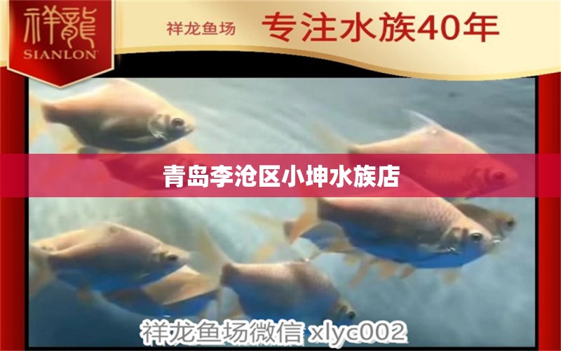 青島李滄區(qū)小坤水族店 全國(guó)水族館企業(yè)名錄