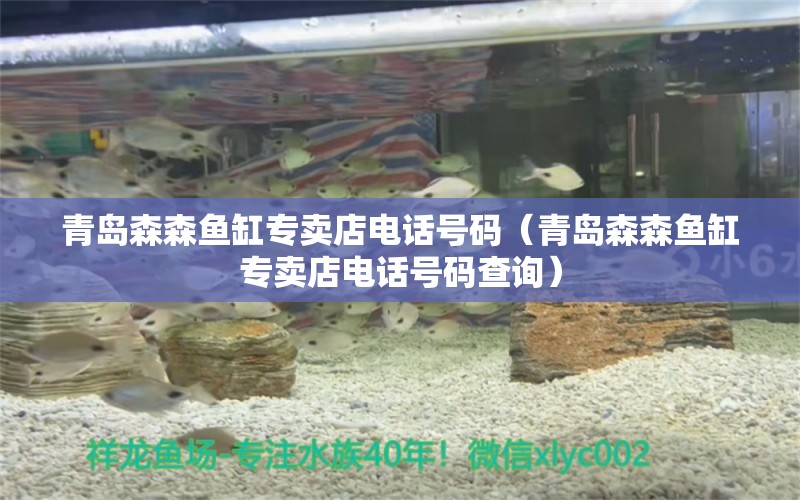 青島森森魚缸專賣店電話號(hào)碼（青島森森魚缸專賣店電話號(hào)碼查詢）