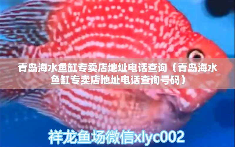 青島海水魚缸專賣店地址電話查詢（青島海水魚缸專賣店地址電話查詢號(hào)碼） 海水魚