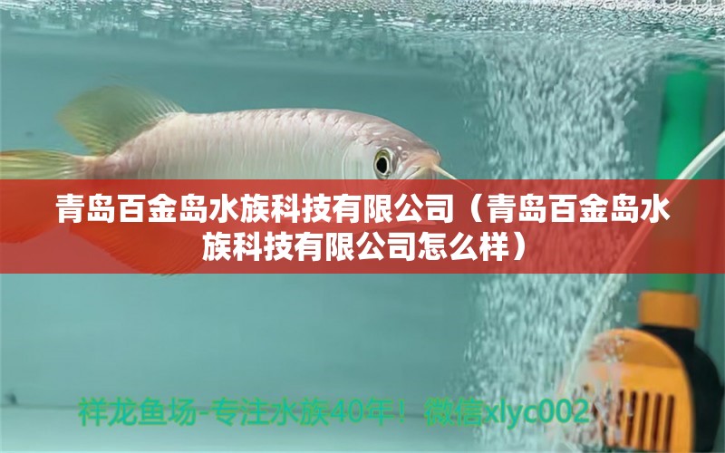 青島百金島水族科技有限公司（青島百金島水族科技有限公司怎么樣）