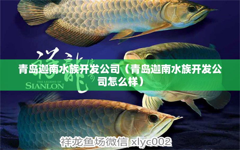 青島迦南水族開發(fā)公司（青島迦南水族開發(fā)公司怎么樣）