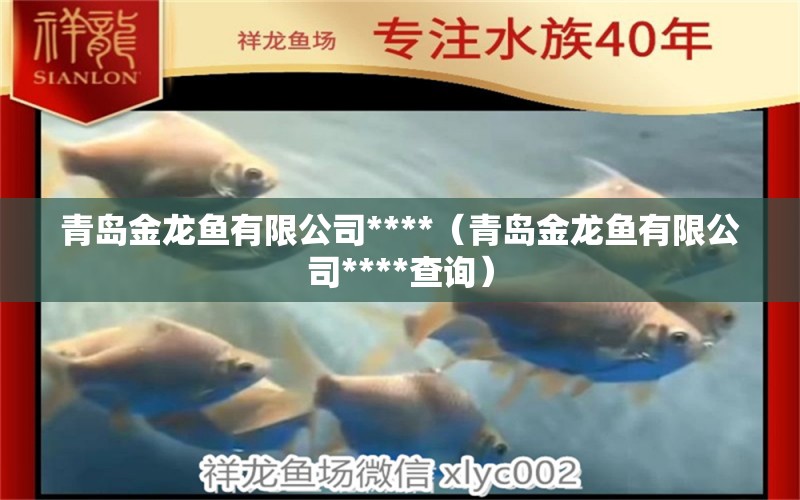 青島金龍魚有限公司****（青島金龍魚有限公司****查詢）