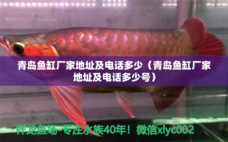 青島魚(yú)缸廠家地址及電話多少（青島魚(yú)缸廠家地址及電話多少號(hào)） 觀賞魚(yú)市場(chǎng)（混養(yǎng)魚(yú)）