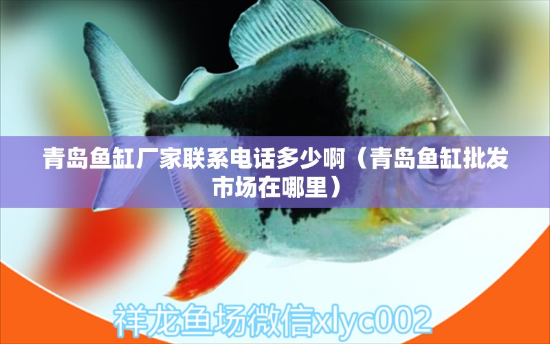 青島魚缸廠家聯(lián)系電話多少?。ㄇ鄭u魚缸批發(fā)市場在哪里）