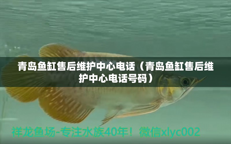 青島魚缸售后維護中心電話（青島魚缸售后維護中心電話號碼）