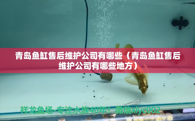 青島魚缸售后維護(hù)公司有哪些（青島魚缸售后維護(hù)公司有哪些地方） 其他品牌魚缸