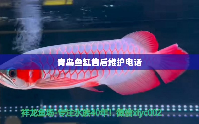 青島魚缸售后維護(hù)電話 其他品牌魚缸