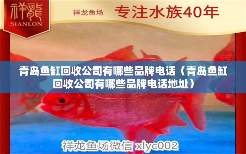 青島魚缸回收公司有哪些品牌電話（青島魚缸回收公司有哪些品牌電話地址）