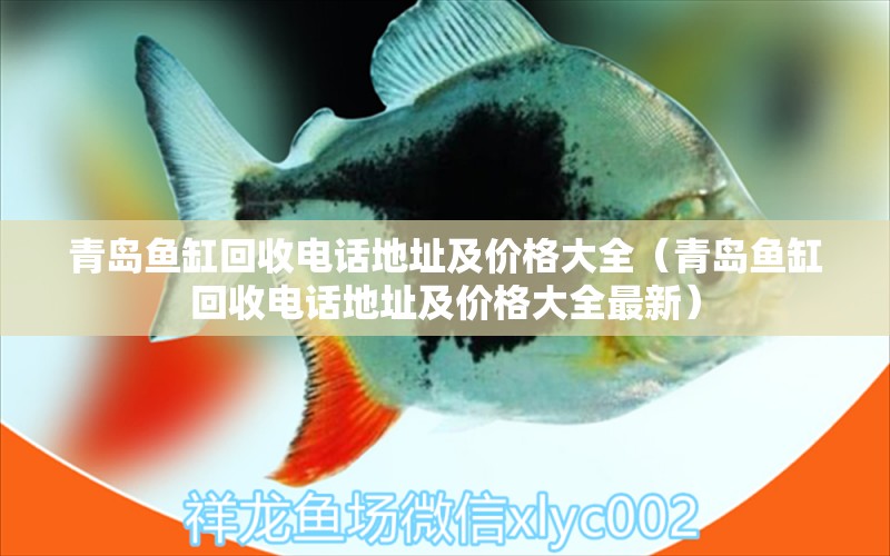 青島魚缸回收電話地址及價(jià)格大全（青島魚缸回收電話地址及價(jià)格大全最新） 祥龍魚場(chǎng)