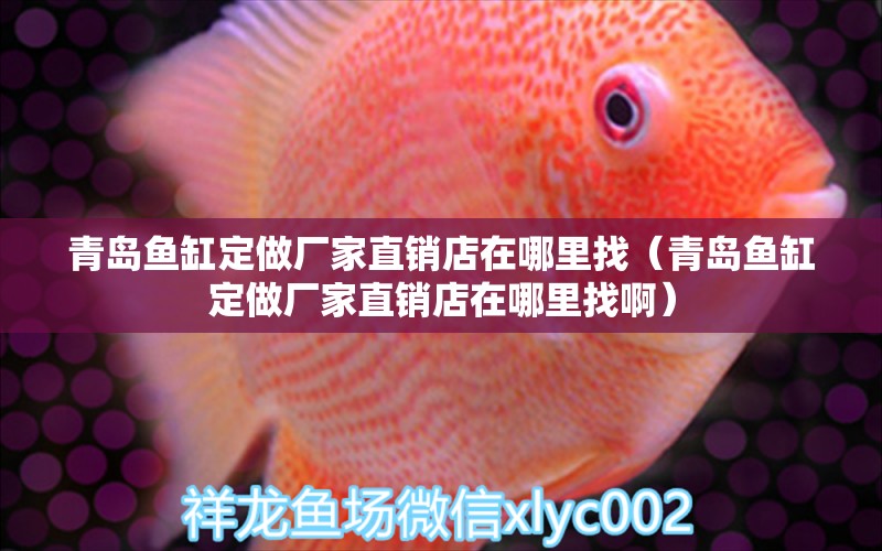 青島魚(yú)缸定做廠家直銷店在哪里找（青島魚(yú)缸定做廠家直銷店在哪里找?。?祥禾Super Red紅龍魚(yú)