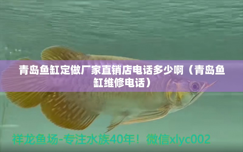 青島魚(yú)缸定做廠家直銷店電話多少啊（青島魚(yú)缸維修電話） 狗狗（犬） 第1張