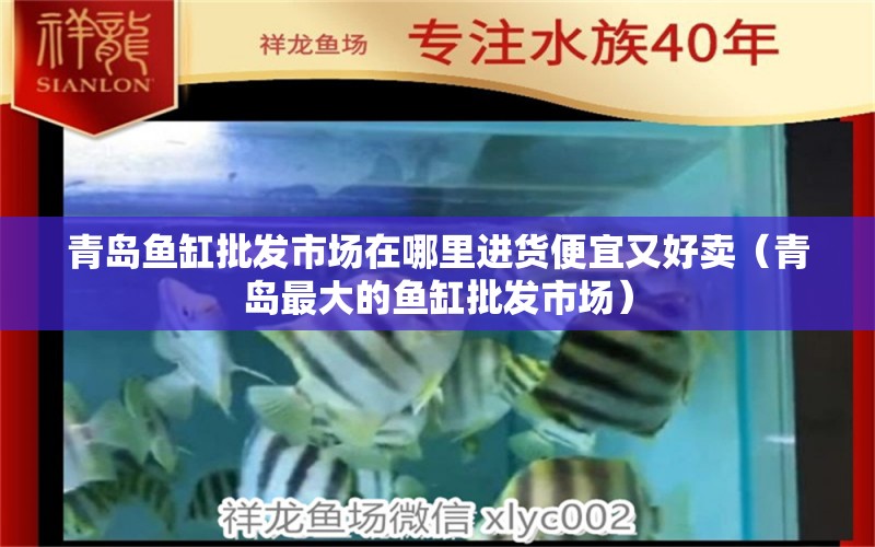 青島魚缸批發(fā)市場在哪里進貨便宜又好賣（青島最大的魚缸批發(fā)市場） 廣州觀賞魚批發(fā)市場