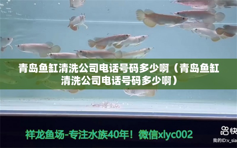 青島魚缸清洗公司電話號碼多少?。ㄇ鄭u魚缸清洗公司電話號碼多少?。? title=