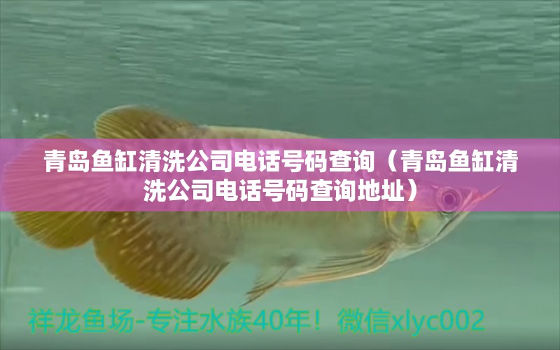 青島魚缸清洗公司電話號碼查詢（青島魚缸清洗公司電話號碼查詢地址）