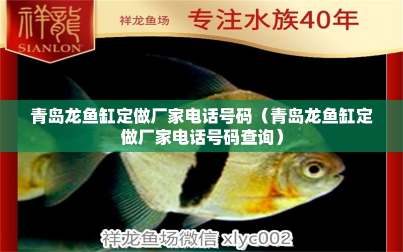 青島龍魚缸定做廠家電話號碼（青島龍魚缸定做廠家電話號碼查詢） 丹頂錦鯉魚