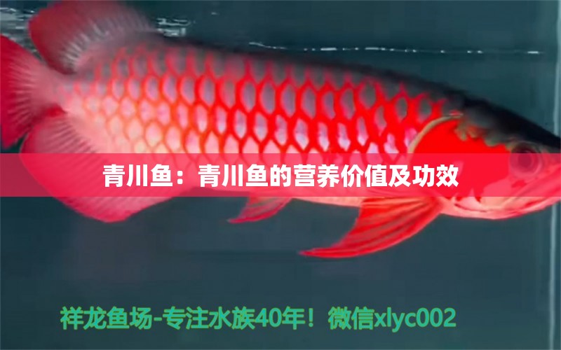 青川魚：青川魚的營養(yǎng)價值及功效