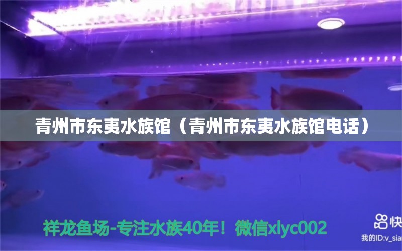 青州市東夷水族館（青州市東夷水族館電話）