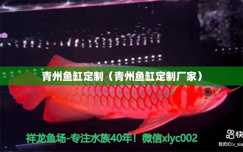 青州魚(yú)缸定制（青州魚(yú)缸定制廠家）