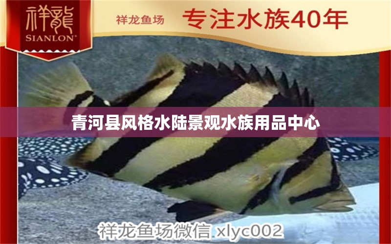 青河縣風格水陸景觀水族用品中心 水族用品