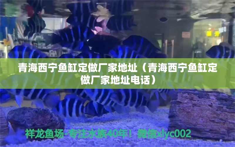 青海西寧魚缸定做廠家地址（青海西寧魚缸定做廠家地址電話）