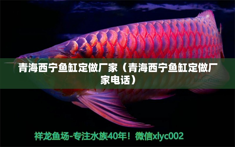 青海西寧魚缸定做廠家（青海西寧魚缸定做廠家電話）