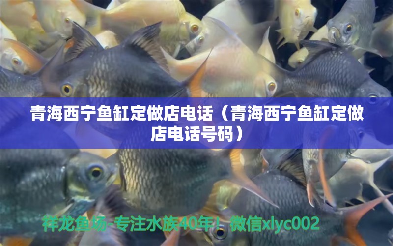 青海西寧魚缸定做店電話（青海西寧魚缸定做店電話號碼）