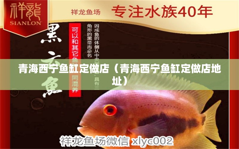 青海西寧魚缸定做店（青海西寧魚缸定做店地址）