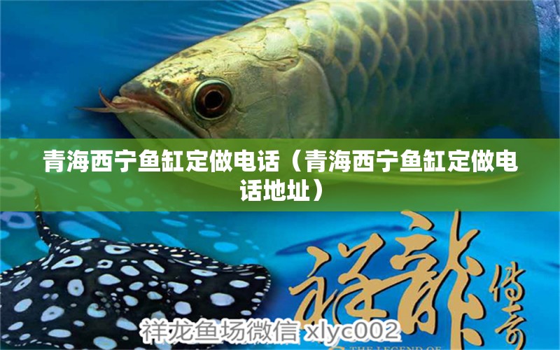 青海西寧魚缸定做電話（青海西寧魚缸定做電話地址）