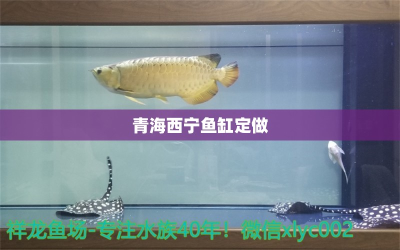 青海西寧魚缸定做