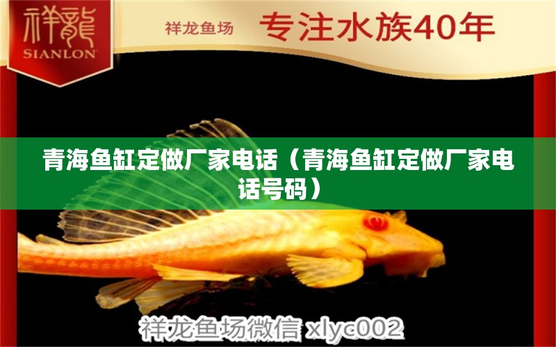 青海魚缸定做廠家電話（青海魚缸定做廠家電話號(hào)碼）