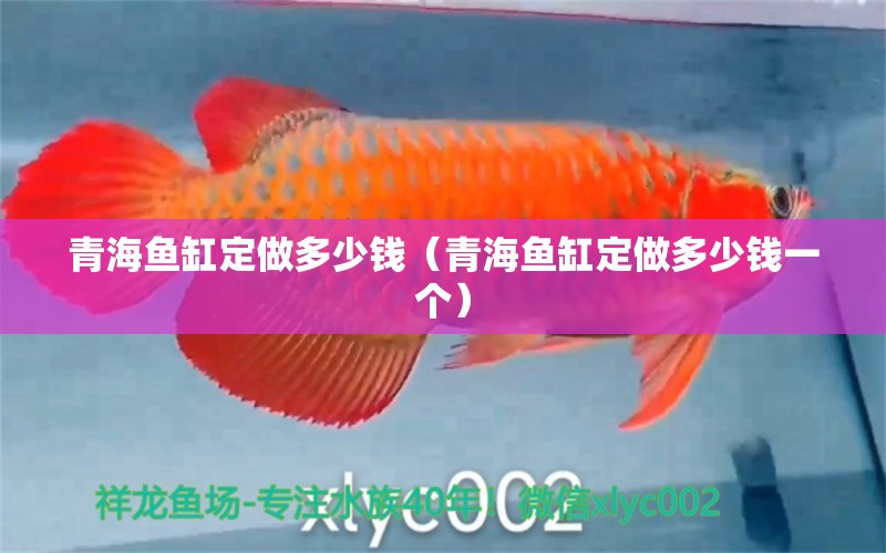 青海魚缸定做多少錢（青海魚缸定做多少錢一個(gè)）