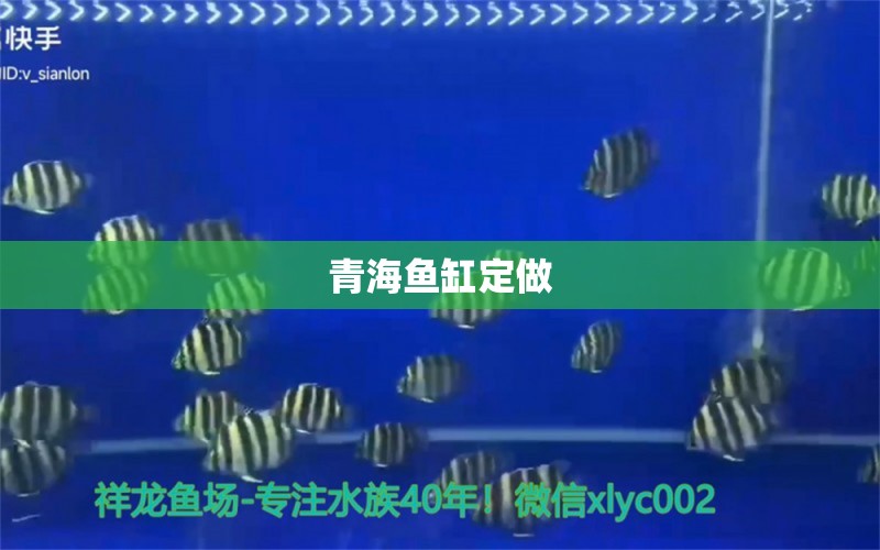 青海魚缸定做