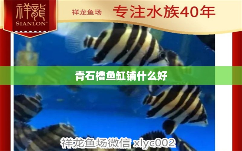 青石槽魚缸鋪什么好